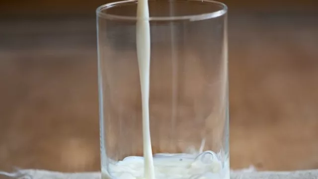 La industria láctea registró un volumen de producción histórico y busca superar su récord en 2021