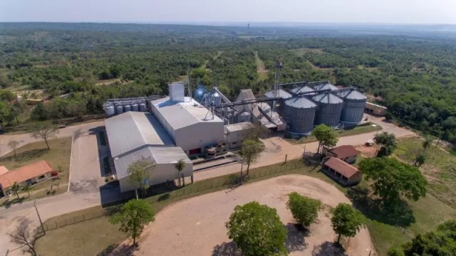 Hecho en Py: Kzero maneja el 35% del mercado y exporta a más de 10 destinos