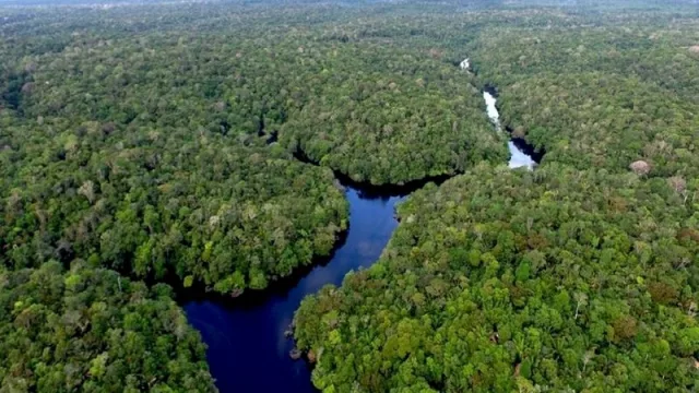 Proyecto verde conservará 32.000 hectáreas del bosque del Chaco paraguayo