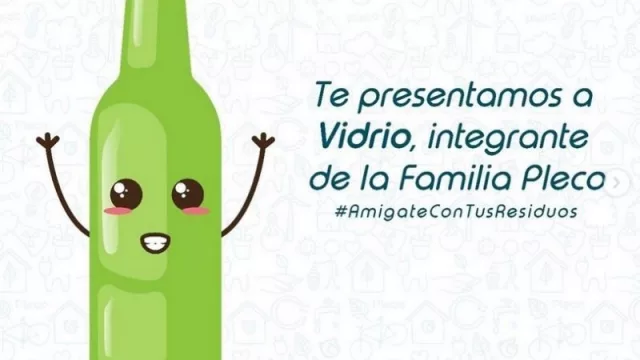 Un negocio verde: la app paraguaya Pleco permite comercializar materiales reciclables