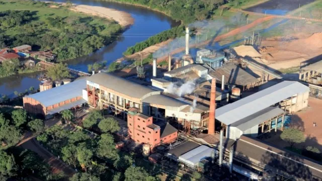 Hecho en Py: Azpa presenció una “explosión” en sus niveles de venta de azúcar durante cuarentena estricta