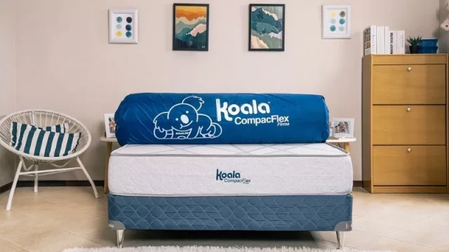La línea de colchones Koala CompactFlex ya está en el mercado (súper fácil de transportar)