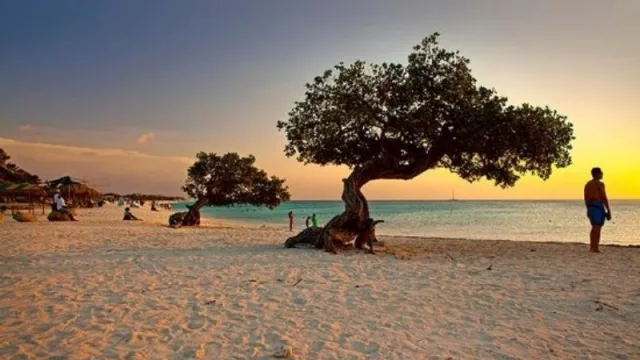 Eagle Beach, Palm/Eagle Beach, Aruba