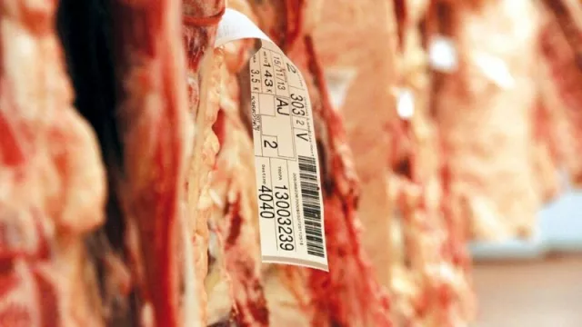 Un semestre con exportaciones de carne a la baja (US$ 189 M y 256.000 cabezas de ganado menos que 2019)