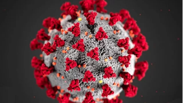 Por qué no serviría un “pasaporte sanitario” que identifique a curados del COVID-19