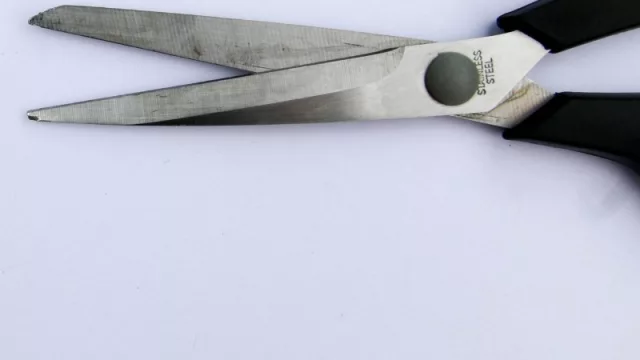 Recortes al salario público: economista recomienda eliminar cargos innecesarios