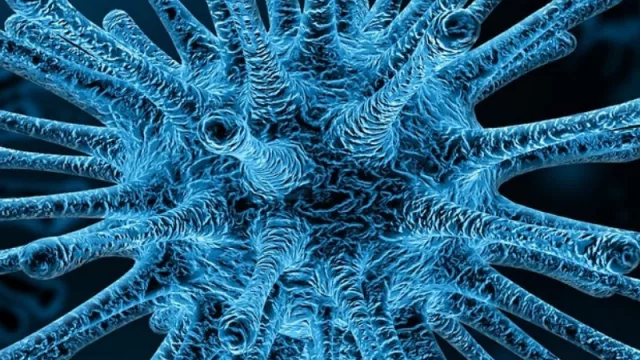 Todo suspendido: Gobierno toma medidas para mitigar la propagación del coronavirus, pero ¿existen recursos para contenerlo?