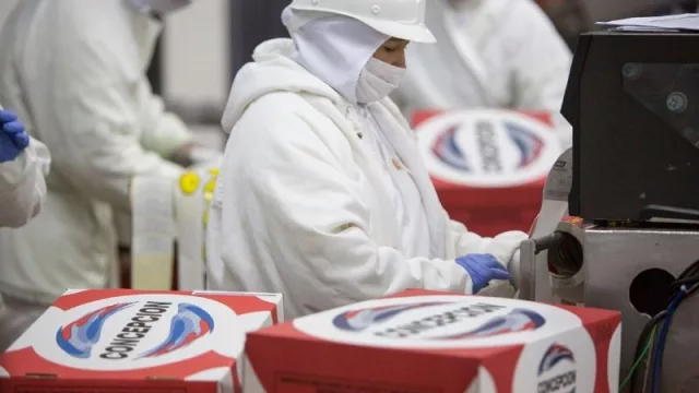 Acceso a crédito logrado por Frigorífico Concepción abre las puertas a otros actores del sector