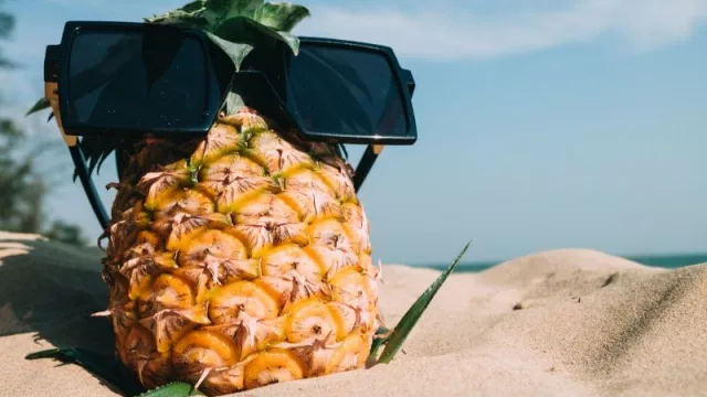 ¿Estás pensando en salir de vacaciones?