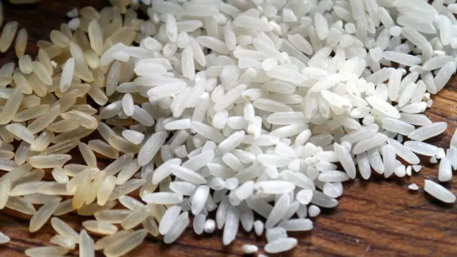 Cultivos de arroz alcanzaron un rendimiento de 6.100 kilos por hectárea