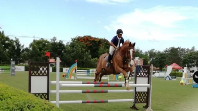 Fedepa: “Queremos llegar con todo al Odesur, nuestra meta es ganar medallas de oro”