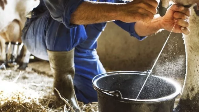 Lechería nacional: “Estamos cerrando el año con un balance muy positivo”