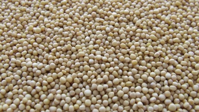 Agroexportadora inaugura 2 silos en Itapúa y pronto habilitará más (culminará el año con 510.000 toneladas de capacidad de acopio)