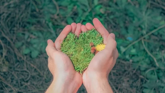 Memoria verde: conocé más de 60 buenas prácticas ambientales de empresas nacionales