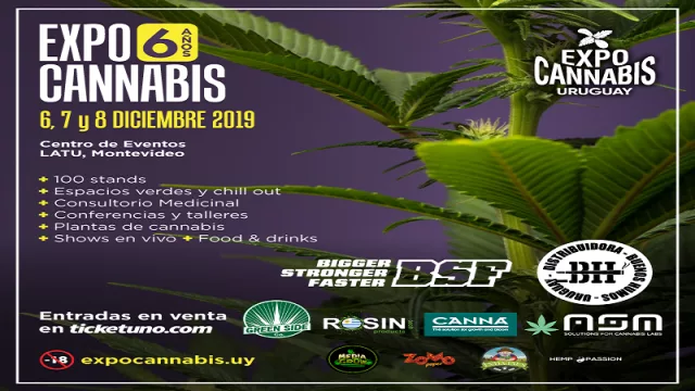 Una nueva edición de ExpoCannabis llegará al LATU de Montevideo