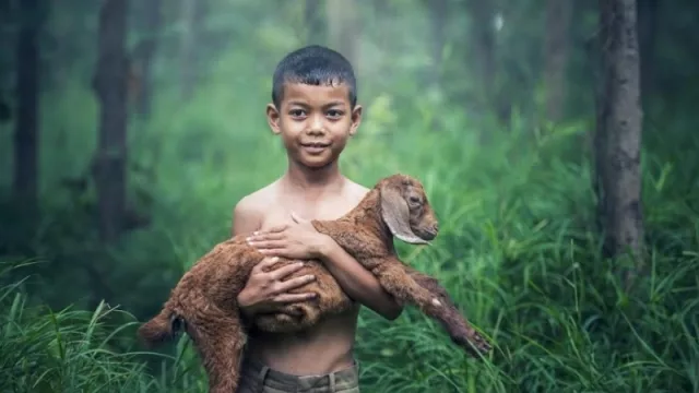 La temperatura aumentará 3.2°C: ONU cree que hay solución pero se necesita acción rápida