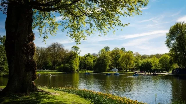 Estudio revela la importancia de las áreas verdes en las ciudades