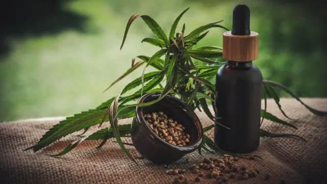 ¿Qué opina la Cámara Paraguaya de Cannabis Industrial sobre la nueva reglamentación?