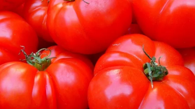 Noticia positiva para todos: tomates baratos gracias a este acuerdo