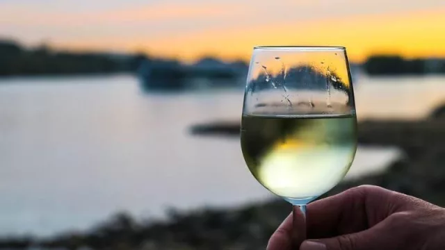 Estos son los vinos recomendados para la temporada de verano