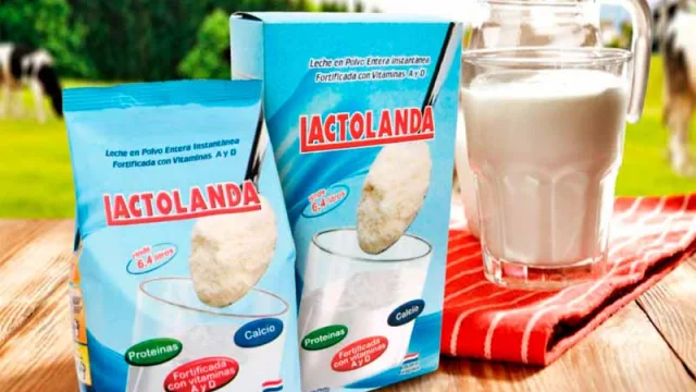 Crecen envíos de leche en polvo: La Holanda cerraría el 2019 con más de 4.000 toneladas exportadas