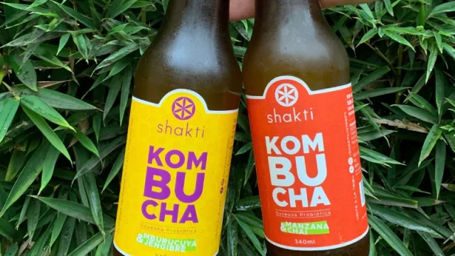 La kombucha: una bebida milenaria que tiene múltiples beneficios
