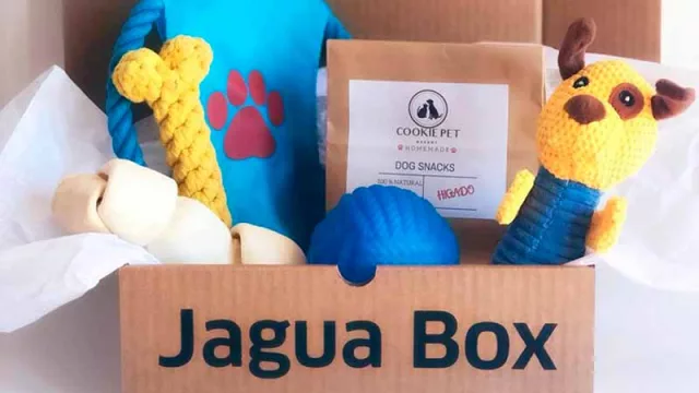 Emprendimiento animal: estas cajas prometen sorprender a los mimados de la casa 