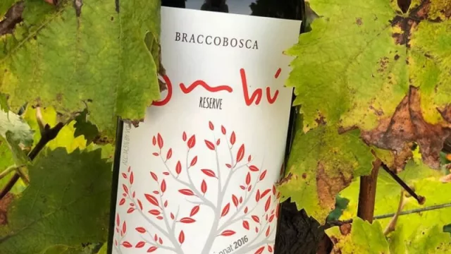 Bodega Bracco Bosca conquista el mercado extranjero y desembarca en Paraguay