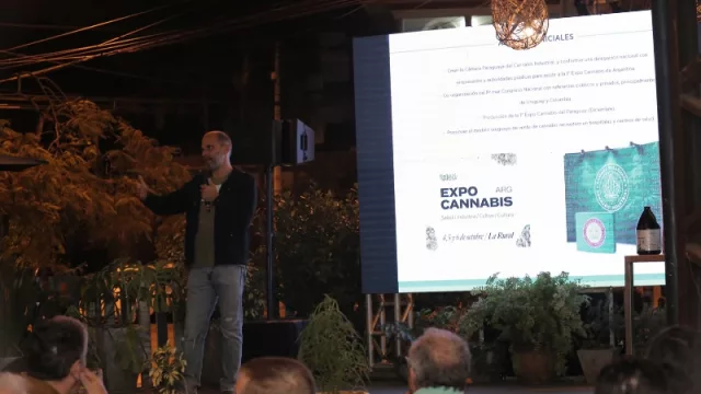 El lado industrial del cannabis: productos que pueden generar millonarios ingresos