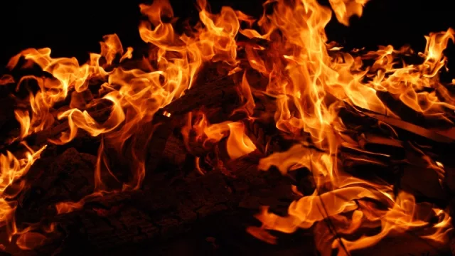 Los incendios forestales están sofocando al país, queremos saber tu opinión