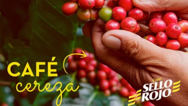 Sello Rojo: un café originario de Colombia presente en nuestro país