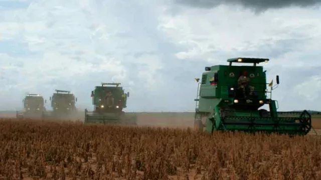 Soja presenta el nivel más bajo de ingresos desde el 2012