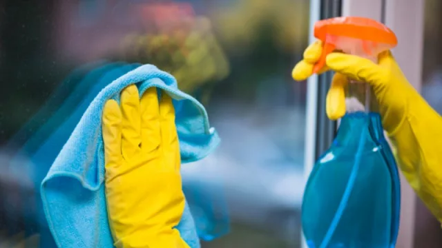 1.000 contratos domésticos rescindidos en el IPS. ¿A qué se debe esto?