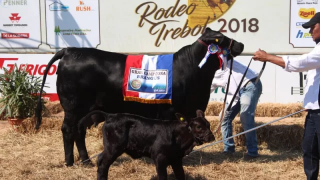 Expo Trébol prevé hacer negocios por US$ 7 millones