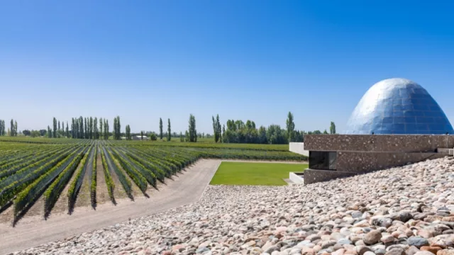 ¿Querés hacer un tour de vino? Te contamos cuáles son las mejores bodegas de Sudamérica