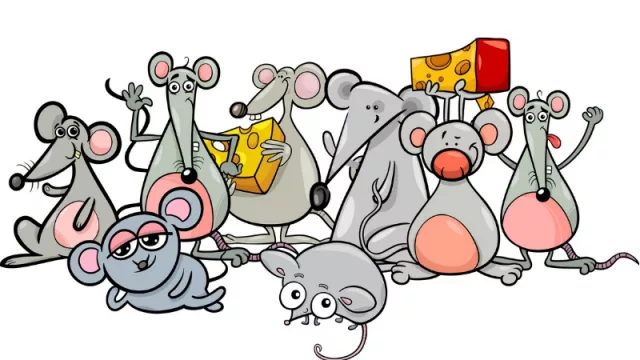 Informe de la CACE: los cordobeses son los más “ratones” de Argentina