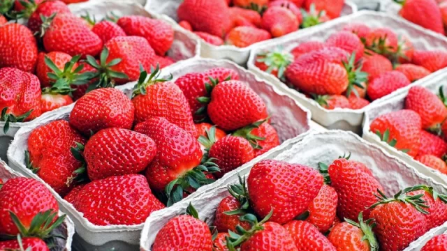 Frutilla: con 300 hectáreas cultivadas existe potencial de industrialización