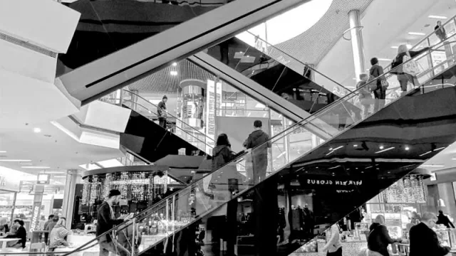 Reducción de aranceles podría complicar la competitividad en el comercio de frontera