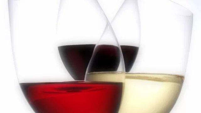 Seguí el mapa del vino argentino de la mano de Mariana Gil Juncal (distintos estilos y terruños)