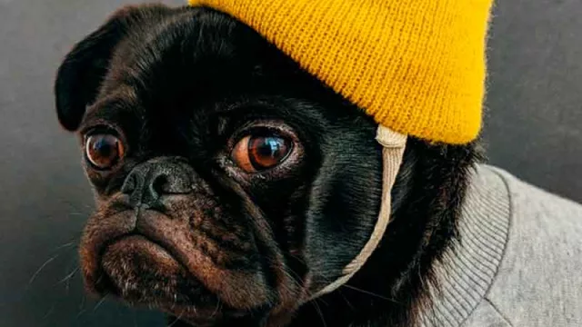 Que tu marca sea lo que los clientes quisieran que exista