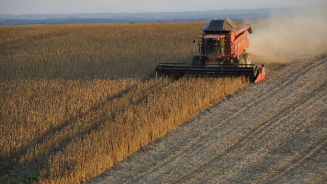 Cobertura en siembra directa: una alternativa de producción que mejora el rendimiento (especial para zonas cálidas)