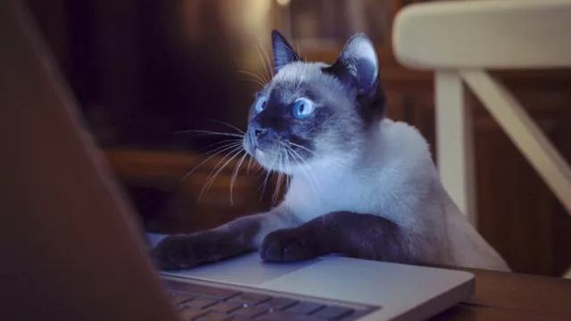 Ciencia de las referencias: 5 minutos capturando bases sólidas para el éxito de cualquier proyecto