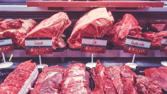 ¿Cuáles son los motivos para crear el Instituto Paraguayo de la Carne?