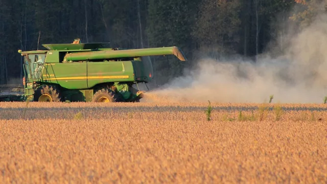 “Una pérdida de 30% a nivel país, son casi 3 millones de toneladas de soja, que se traduce en dejar de percibir unos US$ 1.000 millones”