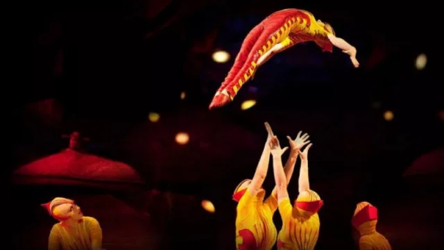 Ovo, el show de Cirque du Soleil que mantiene a Paraguay en la senda de las producciones escénicas