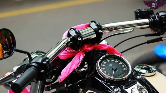 Ladies of Harley: amantes de la velocidad sobre dos ruedas