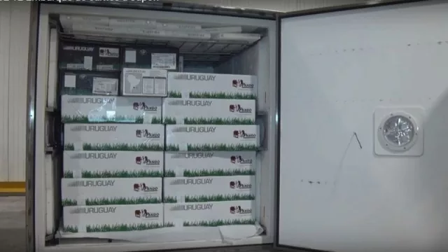  Se fueron los primeros 4 contenedores de carne vacuna uruguaya a Japón