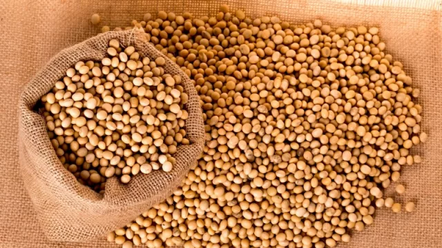 Grupo Timbo participó de la primera reexportación de soja brasileña en bruto