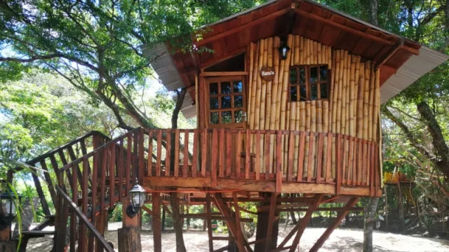 ¿La casita del árbol era tu lugar favorito? Aquí escapás del ruido de la ciudad (y conocés de paso Valenzuela)
