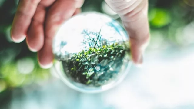 Estas fueron las campañas con impacto sustentable más destacadas durante el 2018